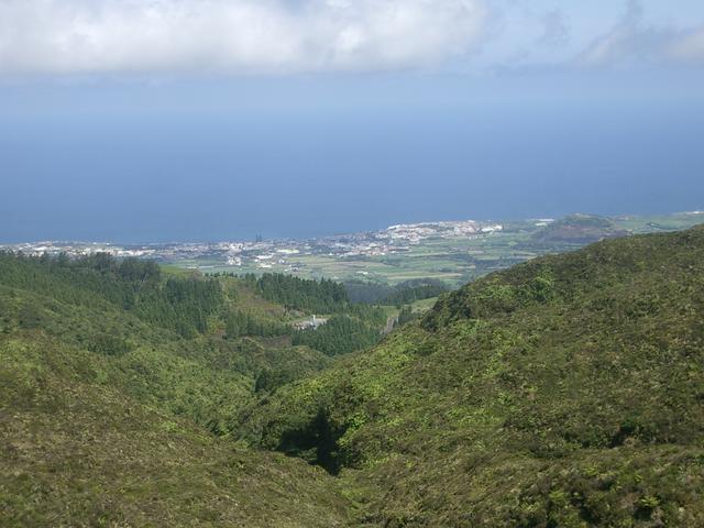 IMGP3465