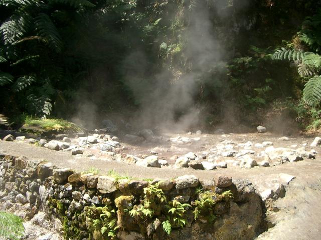IMGP3466