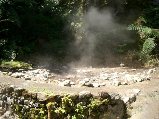 IMGP3467