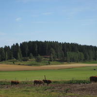 IMG_6032.JPG