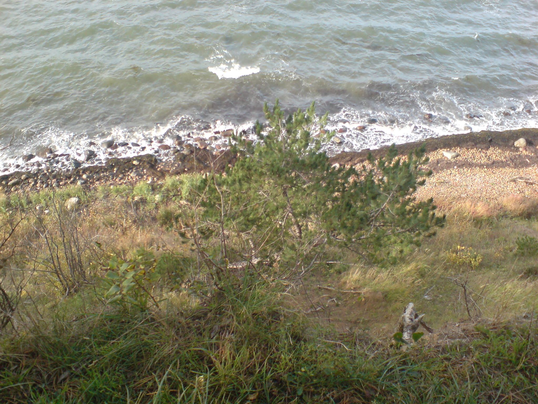 DSC00030