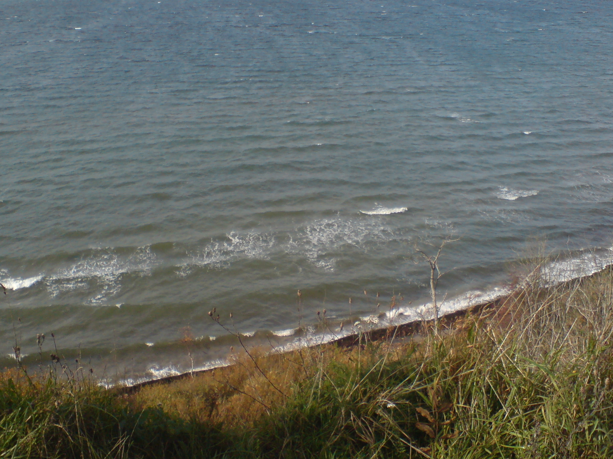 DSC00035