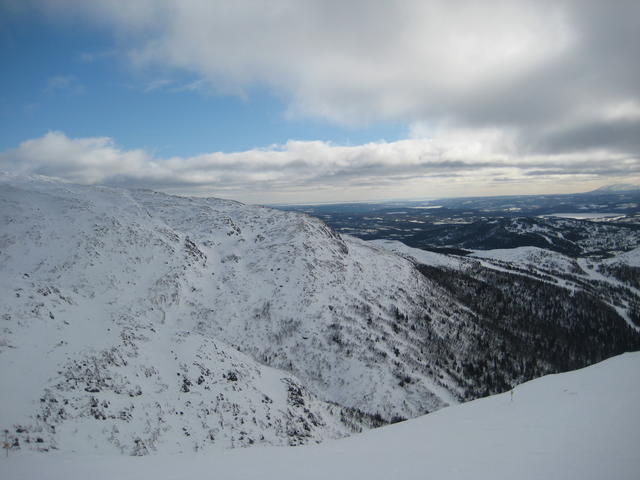 IMG_6498.JPG