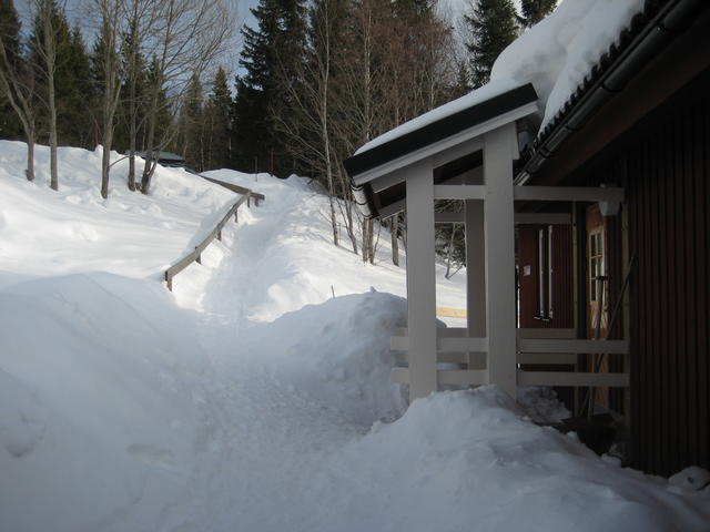 IMG_6508.JPG
