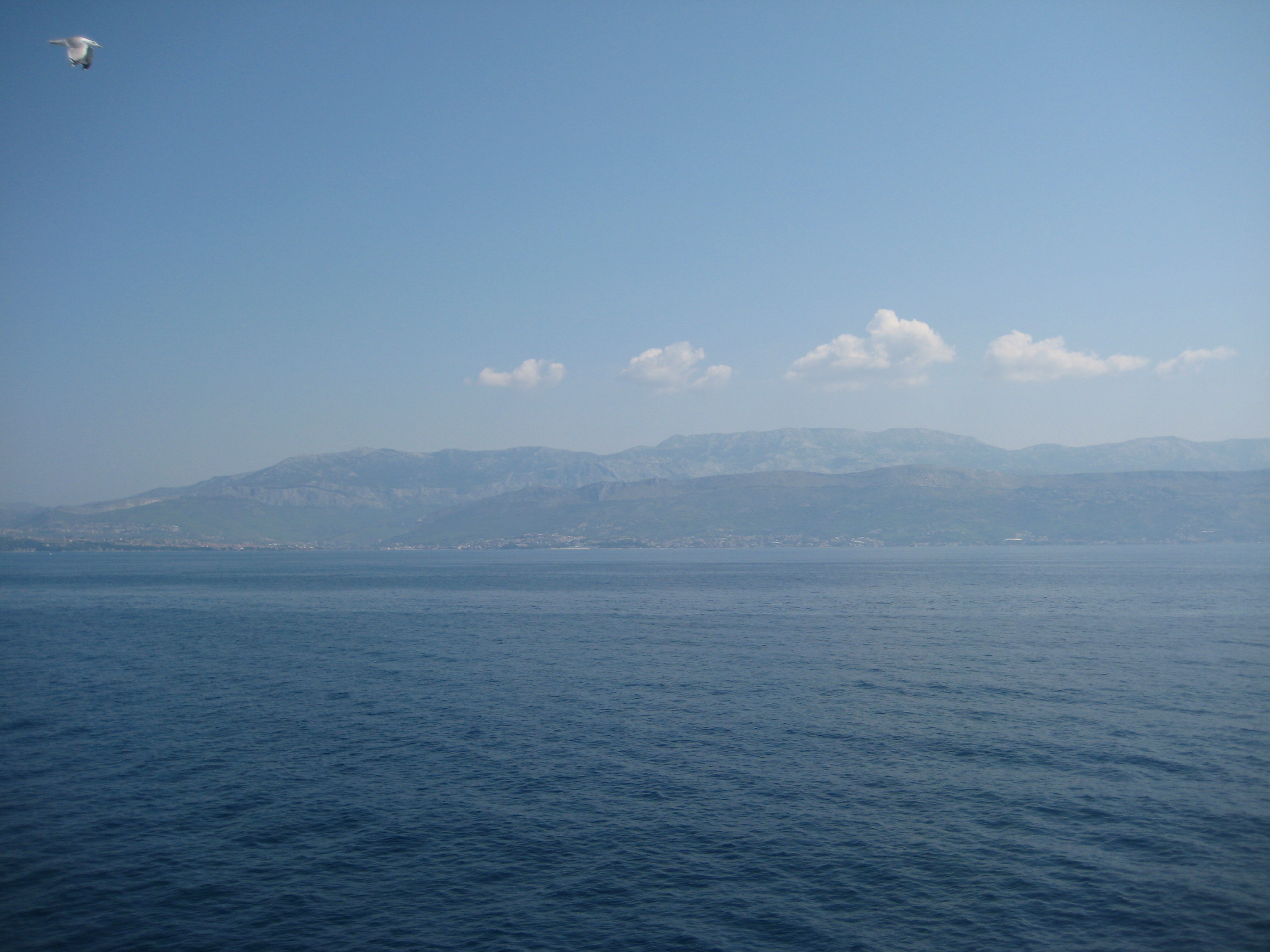 IMG_6893.JPG