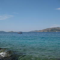 IMG_7113.JPG