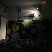 IMG_7345.JPG