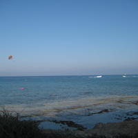 IMG_7381.JPG