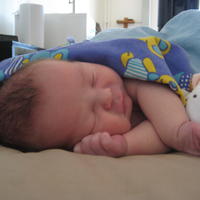 IMG_7648.JPG