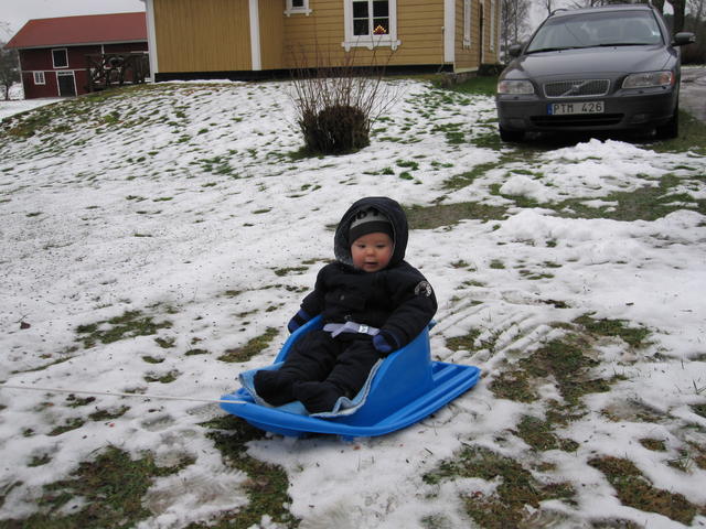 Pulkaåkning, utomhus denna gång