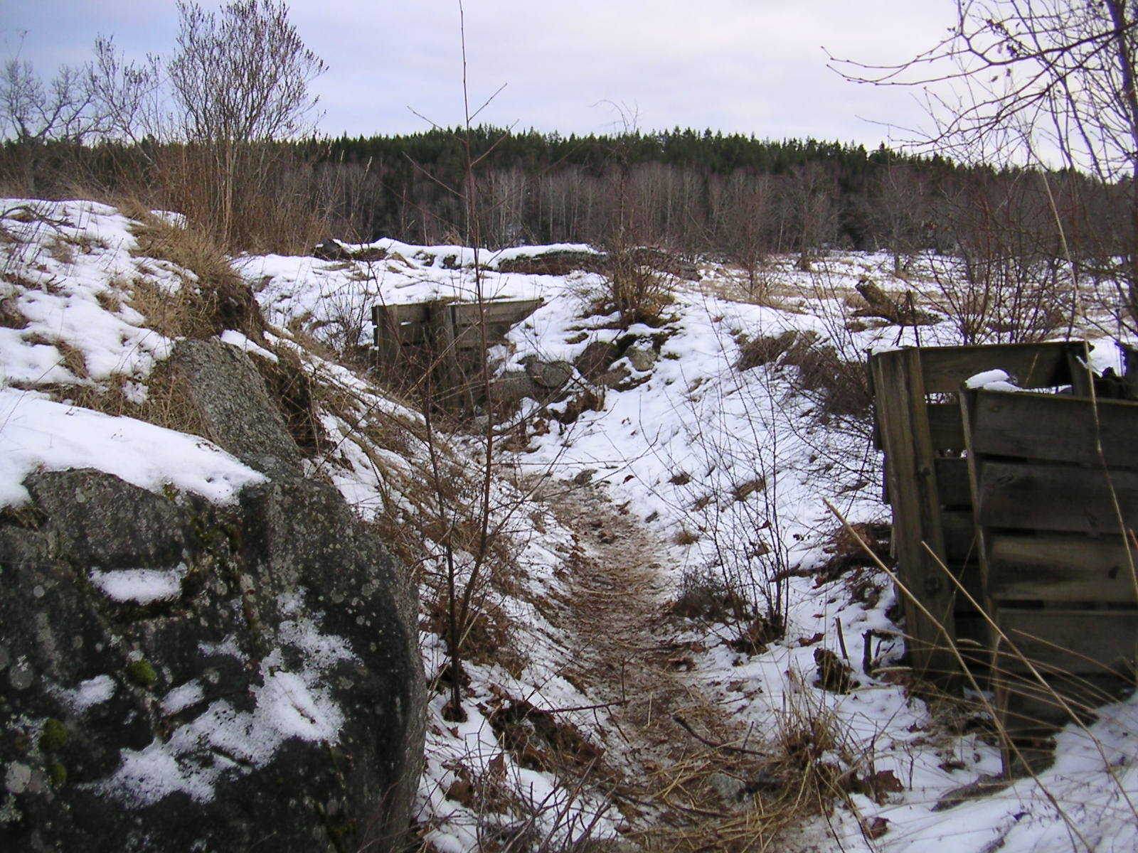 20050201_154759_0.jpg